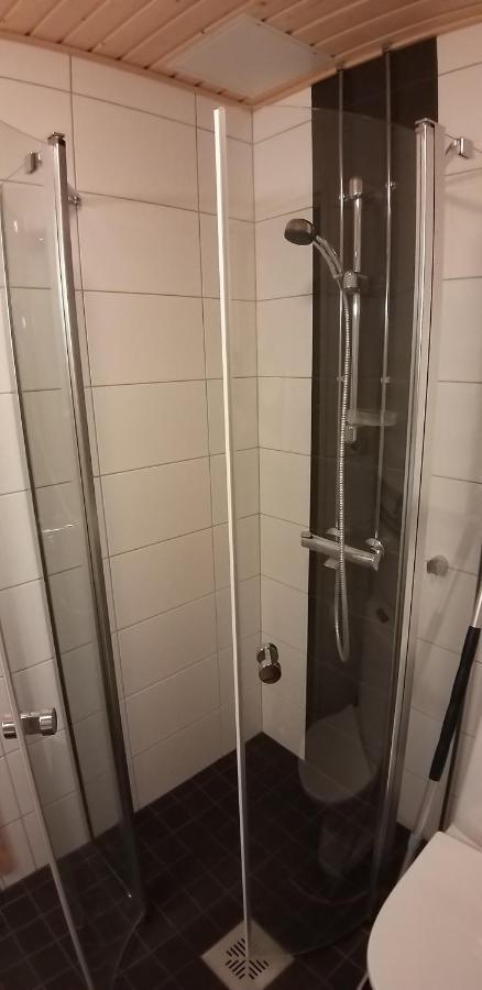 Apartment With Sauna Near The Center Helsinki